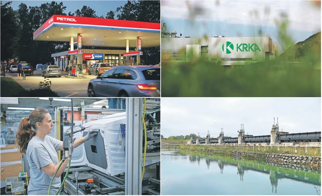 Četverico največjih podjetij po prihodkih sestavljajo Petrol, HSE, Gorenje in Krka. FOTO: Jože Suhadolnik, Jure Eržen/Delo