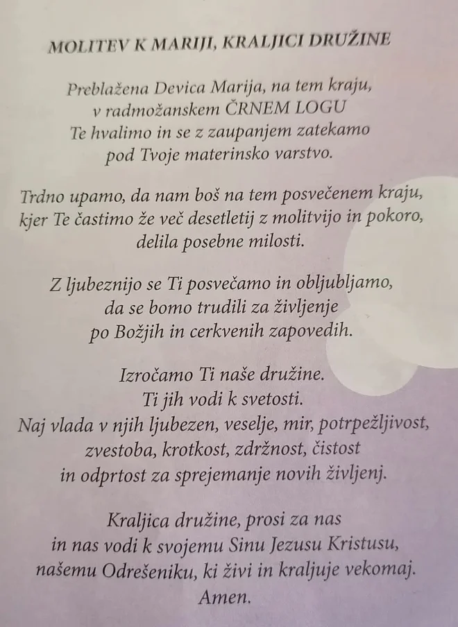 Črni log je še najlepše obiskati v vročem poletnem času, ko si vsi želimo senco FOTO: Marjan Slavič