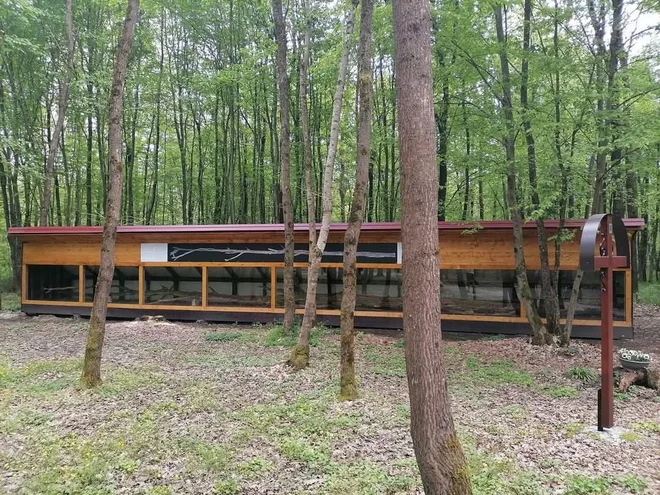 Črni log je še najlepše obiskati v vročem poletnem času, ko si vsi želimo senco FOTO: Marjan Slavič