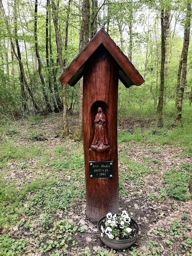 Črni log je še najlepše obiskati v vročem poletnem času, ko si vsi želimo senco FOTO: Marjan Slavič