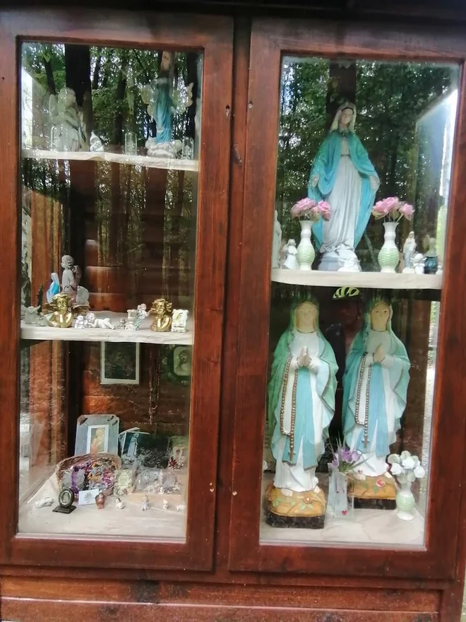 Črni log je še najlepše obiskati v vročem poletnem času, ko si vsi želimo senco FOTO: Marjan Slavič