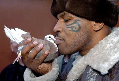 Čeprav je imel in ima več sto ptic miru golobov, je bil Mike Tyson v ringu zver, ki nasprotnikov ni samo premagala, ampak jih je dobesedno raztreščila. FOTO: Dokumentacija Dela