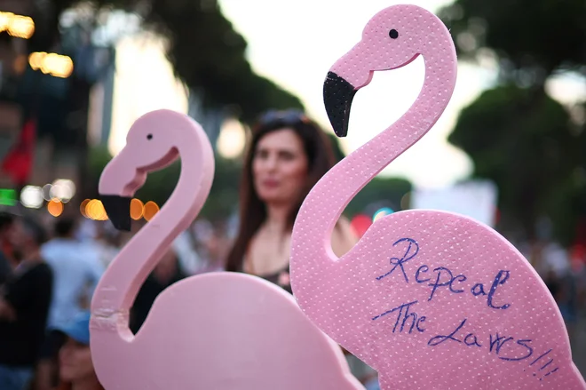 V protest je že vključena tudi albanska diaspora in dobil je simbolično ime »revolucija flamingov. FOTO: Florion Goga/ Reuters