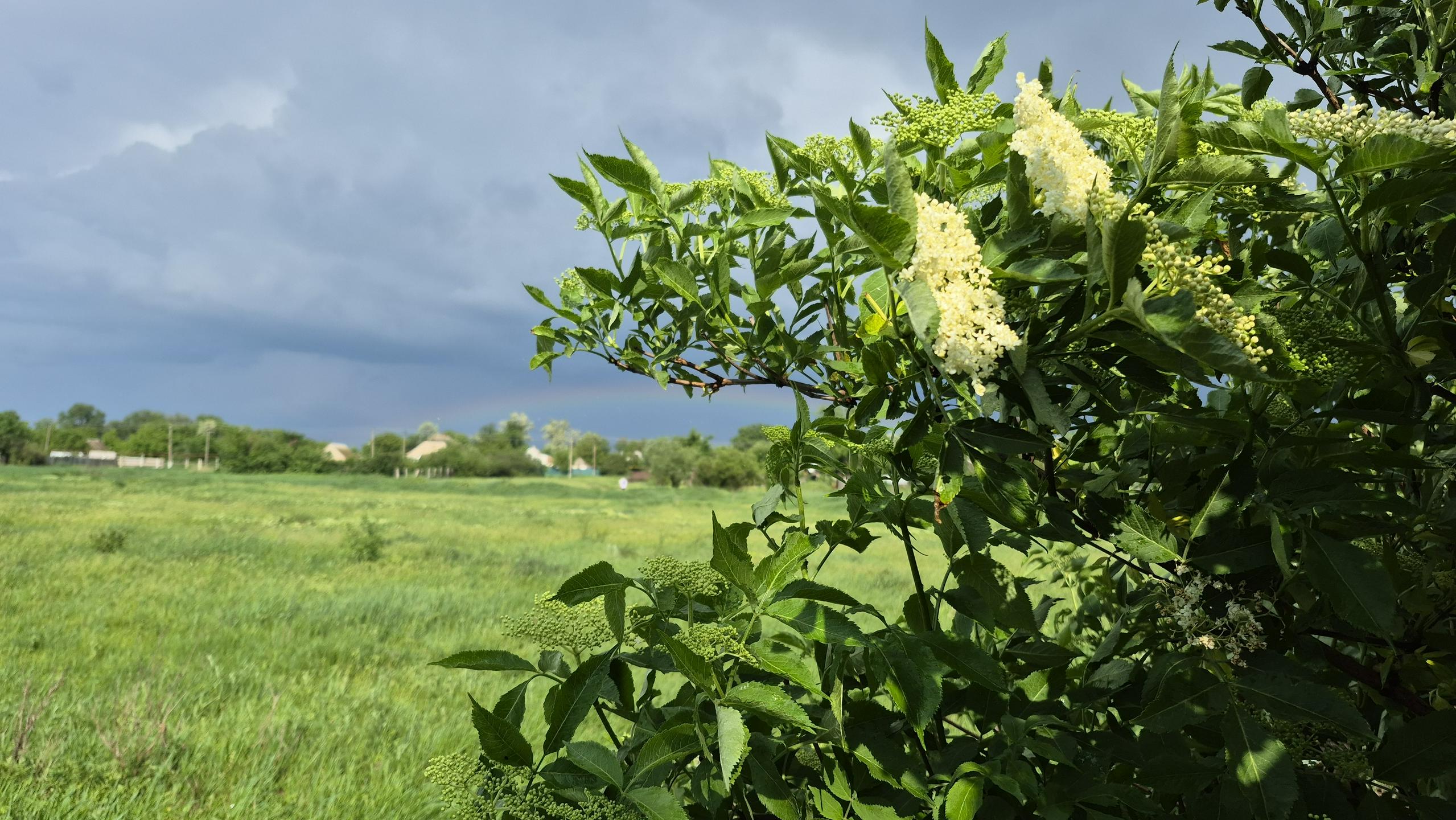 Ob popoldnevih bodo mogoče nevihte še vse do torka, od srede dalje bo možnosti zanje manj. Foto: Shutterstock Ob popoldnevih bodo mogoče nevihte še vse do torka, od srede dalje bo možnosti zanje manj. Foto: Shutterstock