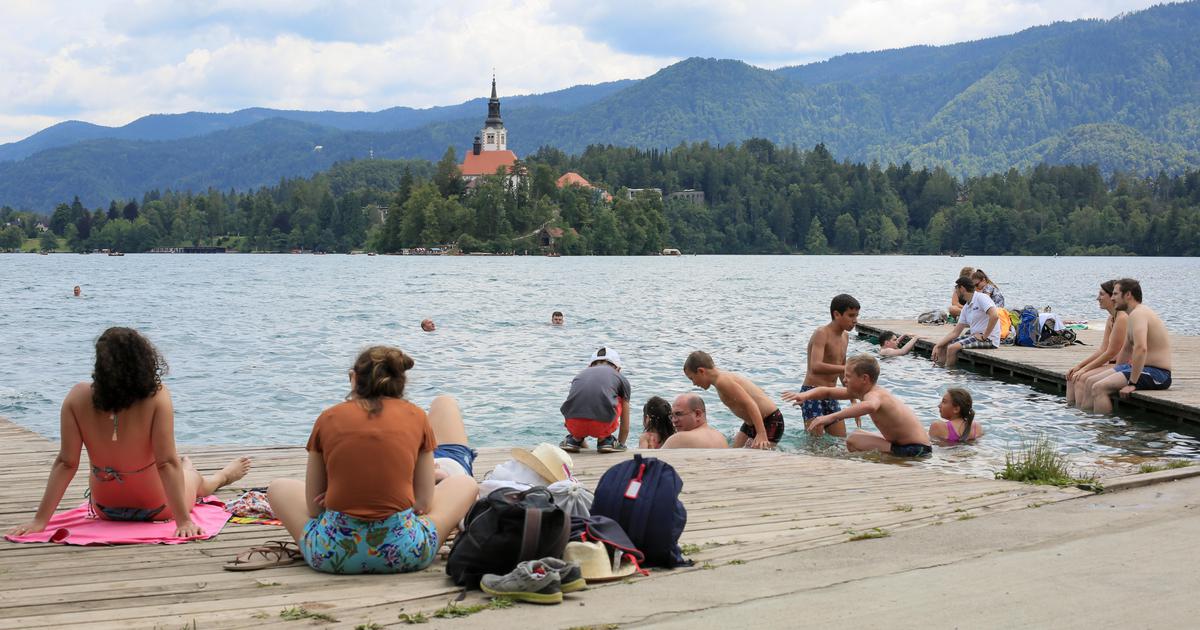 Za sedenje pod drevesom 200 evrov kazni: "A je dihat dovoljeno na Bledu?"