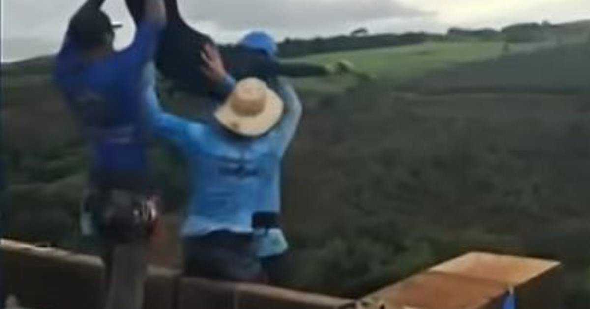 Video: dekle vrgli z mostu, na bungee vrv pozabili ...