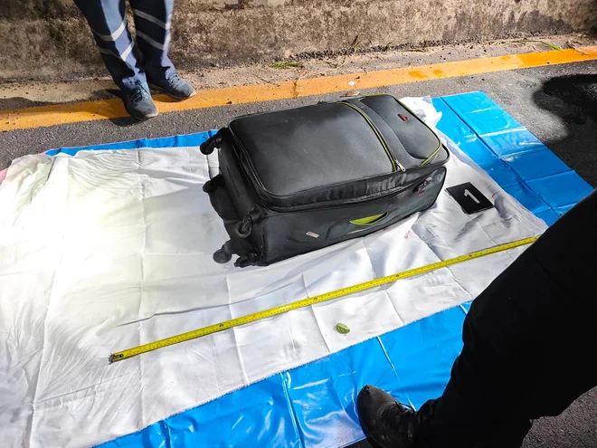 V to potovalko je stlačil umorjeno. FOTO: AFP