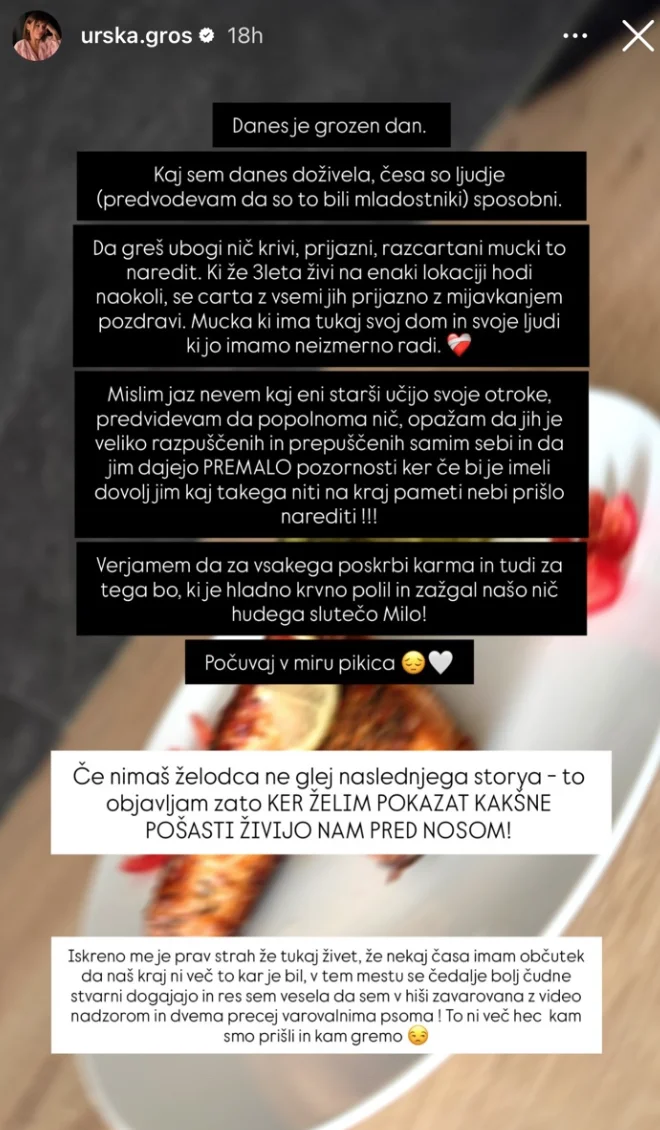 Objava na Instagramu. FOTO: Posnetek Zaslona