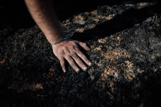 Zahodna Evropa je imela namreč razmeroma mokro zimo, kljub temu pa se je poleti znašla v primežu ekstremne suše. FOTO: Simon Wohlfahrt/AFP