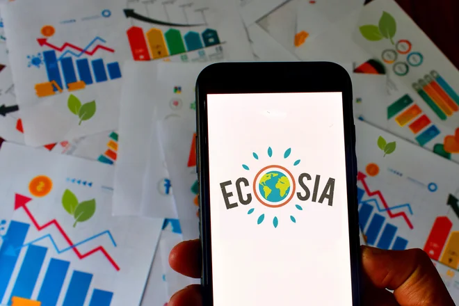 Nemška Ecosia z denarjem od oglasov sadi drevesa. Foto Shutterstock