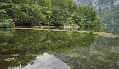 Nacionalni inštitut za biologijo cianobakterije zaznal le v Bohinjskem jezeru