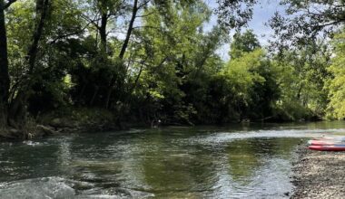 Pozor, na priljubljenem kopališču odkrili nevarno bakterijo - Žurnal24