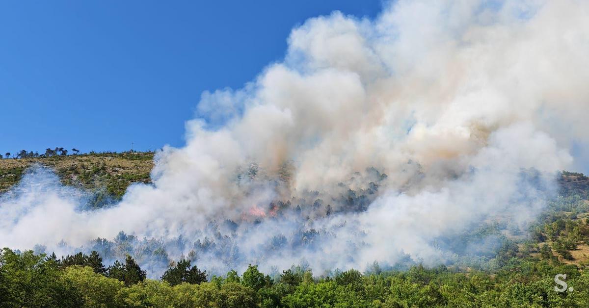 Na Krasu večji požar, v zraku štiri letala za gašenje