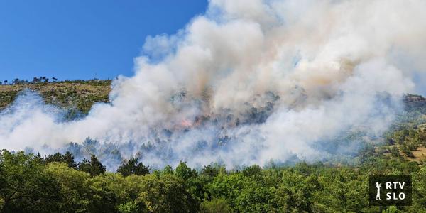 Požar na Krasu pod nadzorom, gasilci zaključujejo sanacijo požarne linije