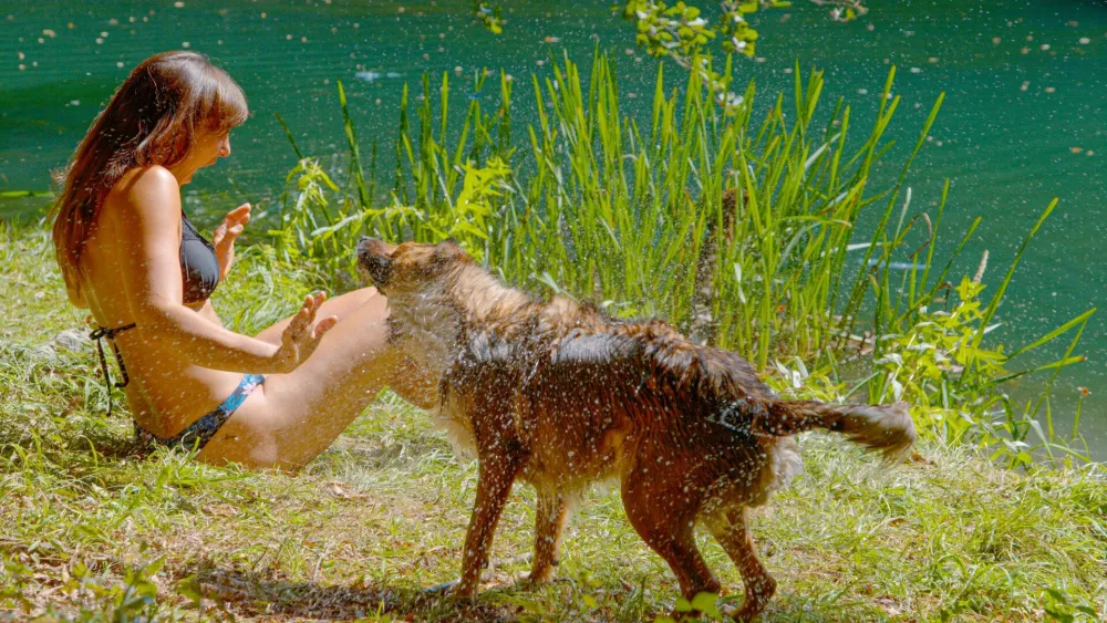 Wet dog vigorously shakes water off its fur, creating a wide spray that splashes a young woman in bikini sitting nearby. Young lady reacts with surprise and joy when her furry friends cools her down. / Foto: Helivideo