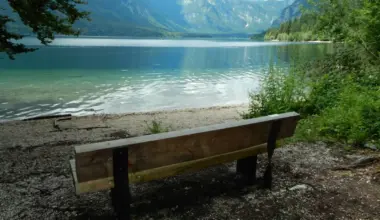 Previdno pri kopanju v Bohinjskem jezeru: v gošči zaznali potencialno nevarne cianobakterije