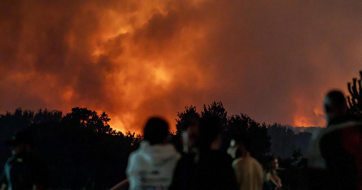 Namerni požigi gozdov kažejo na luknjo v evropskem sistemu