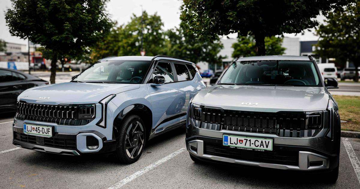 Kia Seltos v Sloveniji: prostoren SUV s 180 KM in štirikolesnim pogonom