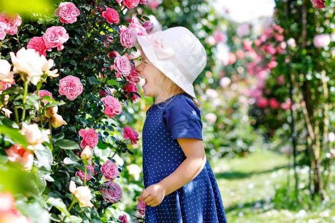 FOTO: Romrodinka Getty Images/iStockphoto
