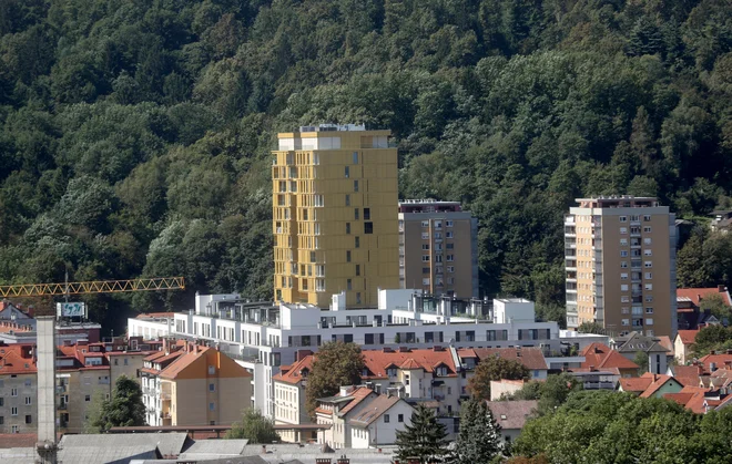 V Sloveniji so mladi gospodinjstvo svojih staršev zapustili pri 29,1 leta, povprečje EU pa je znašalo 26,5 leta. FOTO: Blaž Samec/Delo