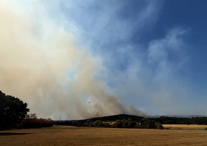 Gašenje v Nemčiji. FOTO: Reuters