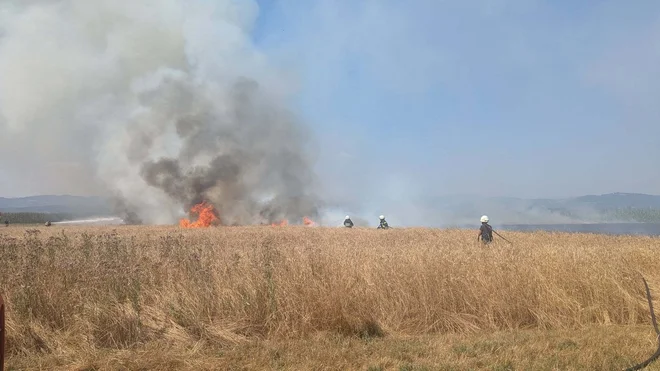 Veliki požari na njihvah okrog Kerinovega Grma ter Velikega Podloga FOTO: PGD Veliki Podlog