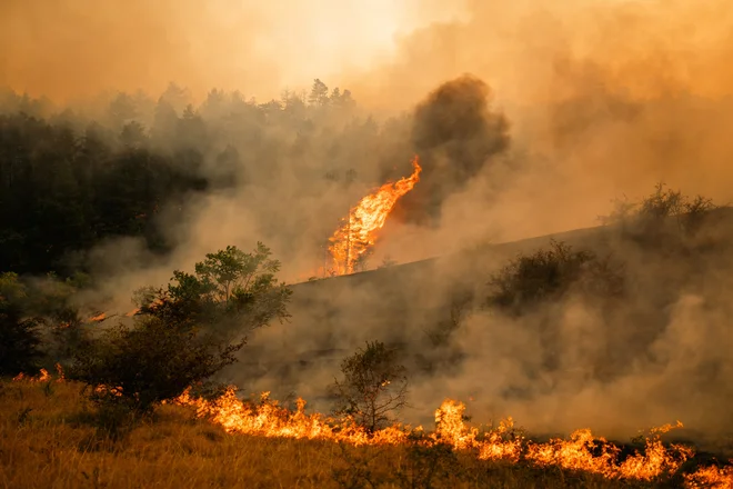 Veliko je požganega. FOTO: Uros Arsic Reuters