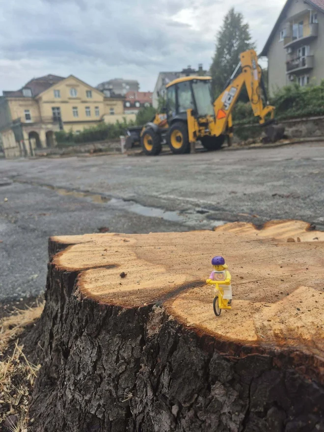 Kolesarje moti vsako odstranjevanje sence, saj je na asfaltu in betonu brez dreves tudi 20 stopinj Celzija topleje. FOTO: FB