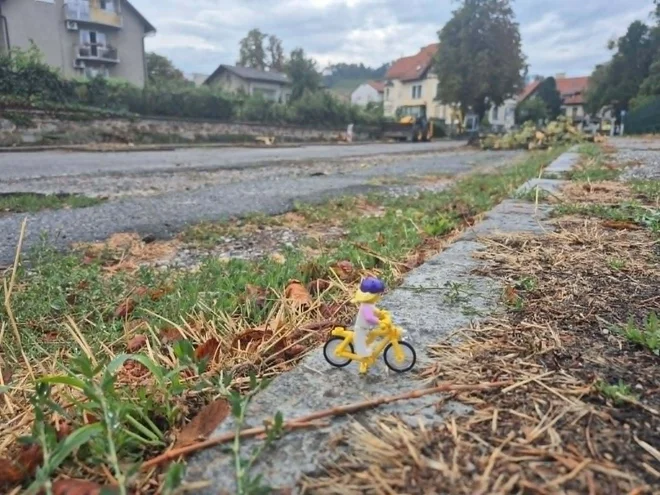 Trubarjev drevored je v veliki meri podrt. FOTO: FB