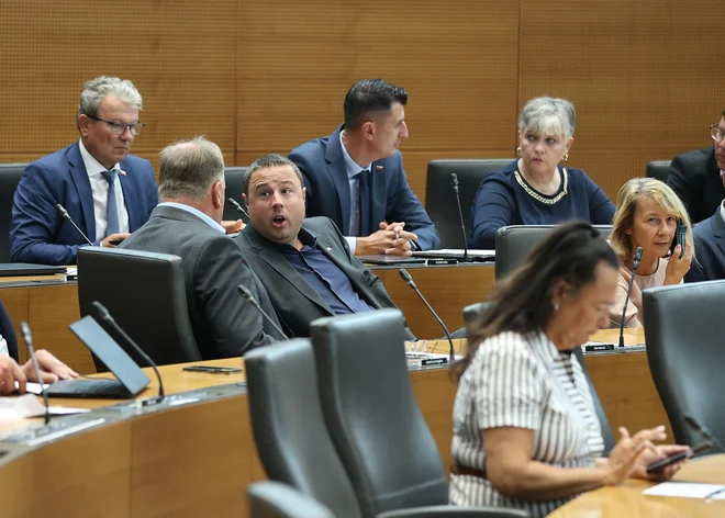Prva popočitniška seja državnega zbora je bila dolga in na trenutke zelo razgreta. FOTO: Jože Suhadolnik