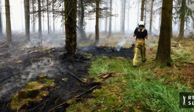 Belgijskim gasilcem uspelo zajeziti obsežen požar. Na grškem otoku Salamina dve žrtvi.