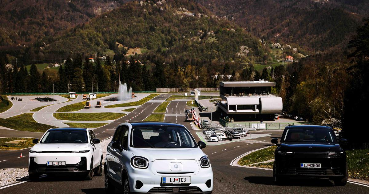 Prodaja električnih vozil v Sloveniji skoraj podvojena, Kitajci vse bližje vrhu