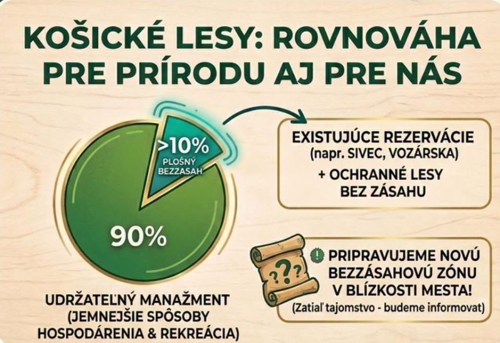 Mestské lesy Košice: Viac ako 10 percent plochy v režime bez zásahu, ochrana prírody a udržateľné lesníctvo ruka v ruke | LesMedium.sk