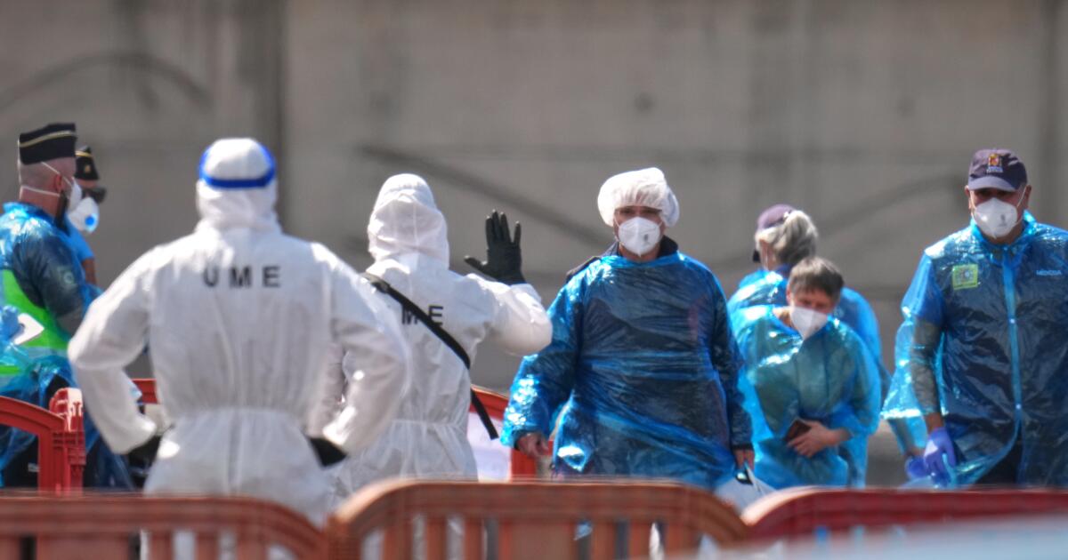 Plane carries passengers from hantavirus-stricken ship to Madrid