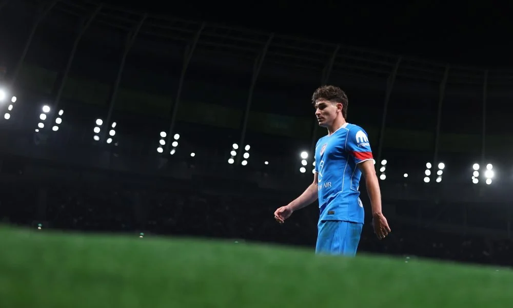 Julian Alvarez, Atletico Madrid player