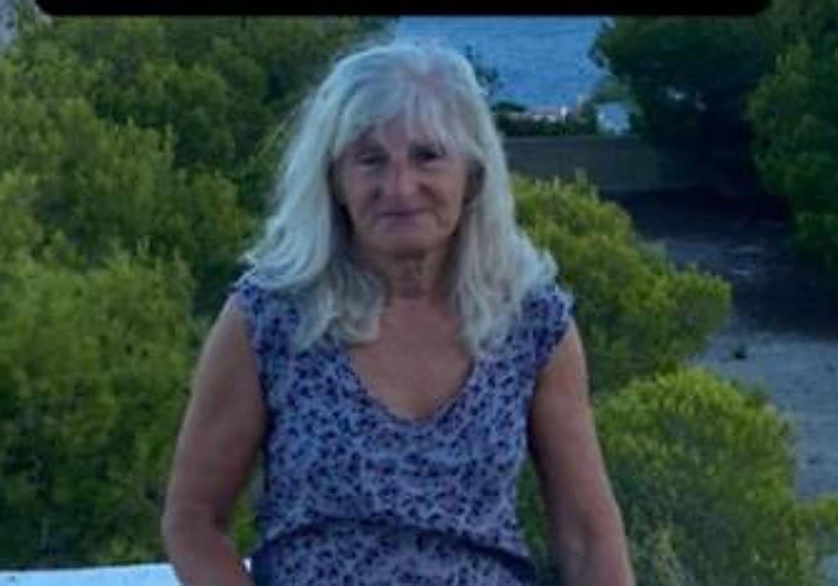 British woman missing in Valencia during road trip from Costa Blanca to UK