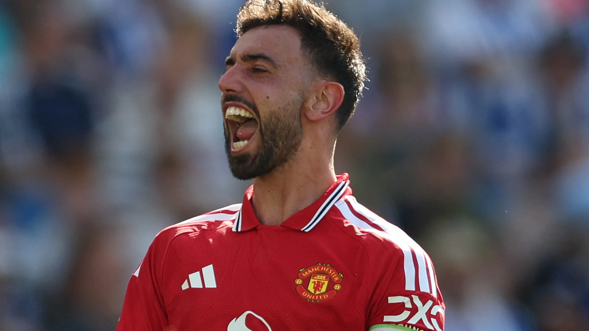 Fernandes has helped maintain a decent standard for Manchester United (Steve Bardens/Getty Images)