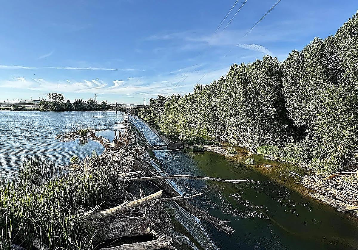 Mother and grandmother drown saving boy, 5, from reservoir in Palencia, northern Spain