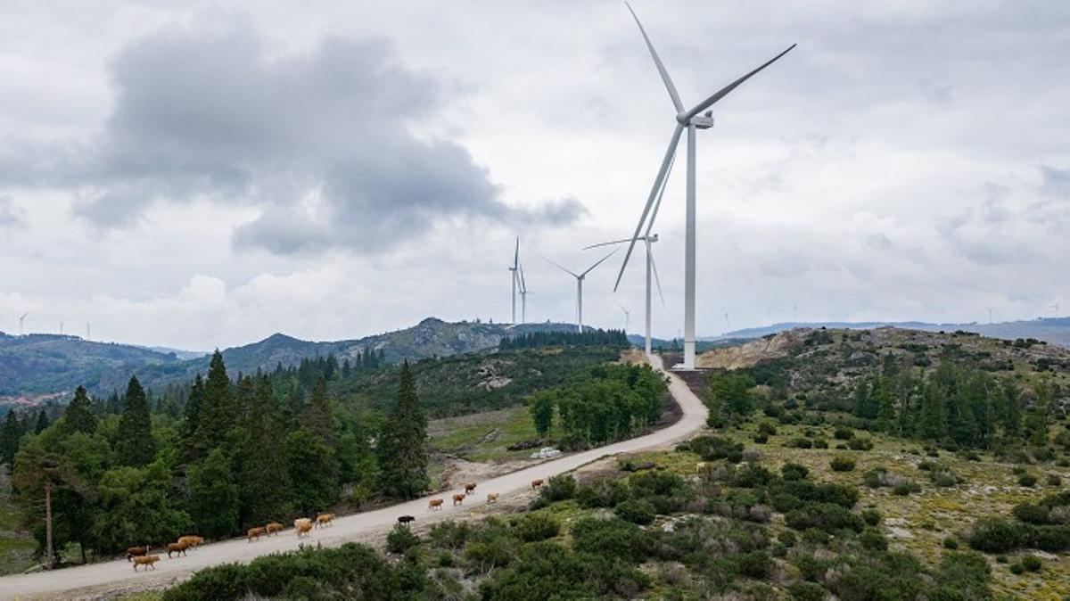 Iberdrola launches 195MW Tâmega Norte wind farm in Portugal