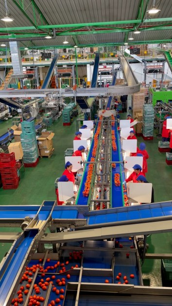 Spain bets on AI to power fruit and vegetable industry