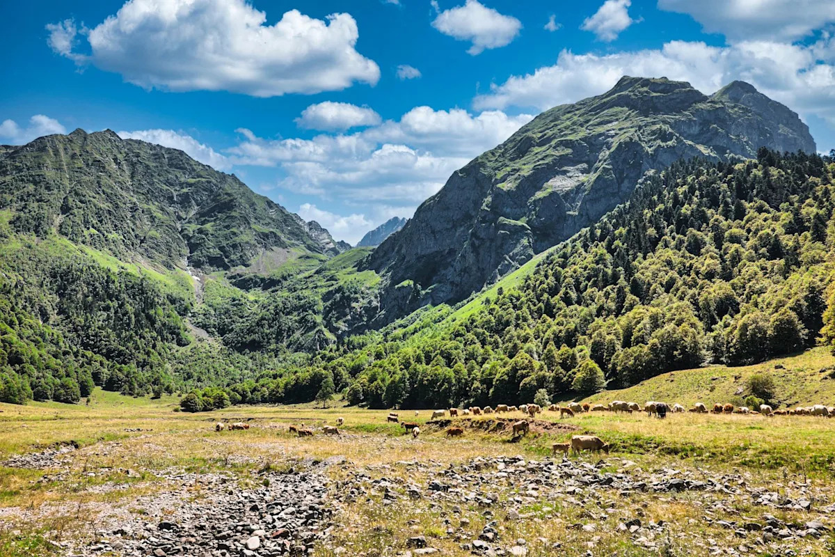 British paraglider dies after getting 'tangled up in power lines' in rural Spain