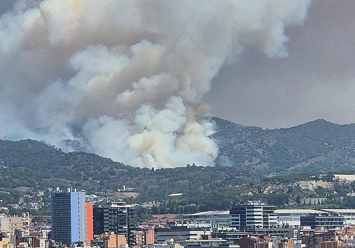 Catalan police arrest man on suspicion of starting forest fire near Barcelona