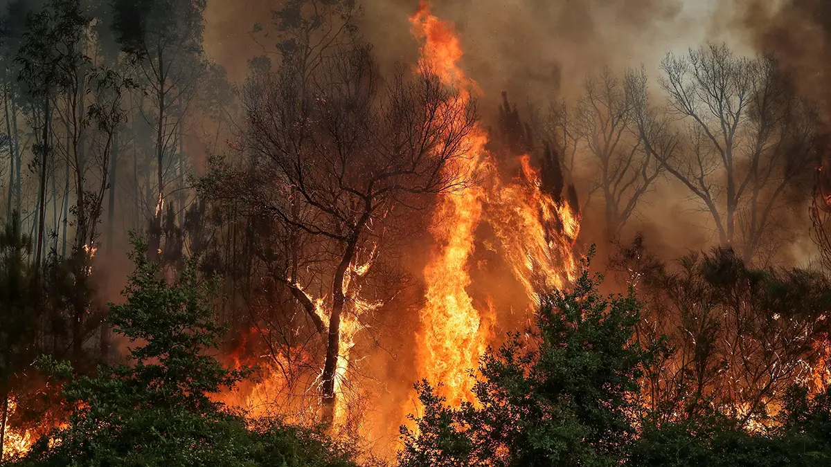 Portugal requests support from Morocco, Spain and the EU due to the high risk of forest fires