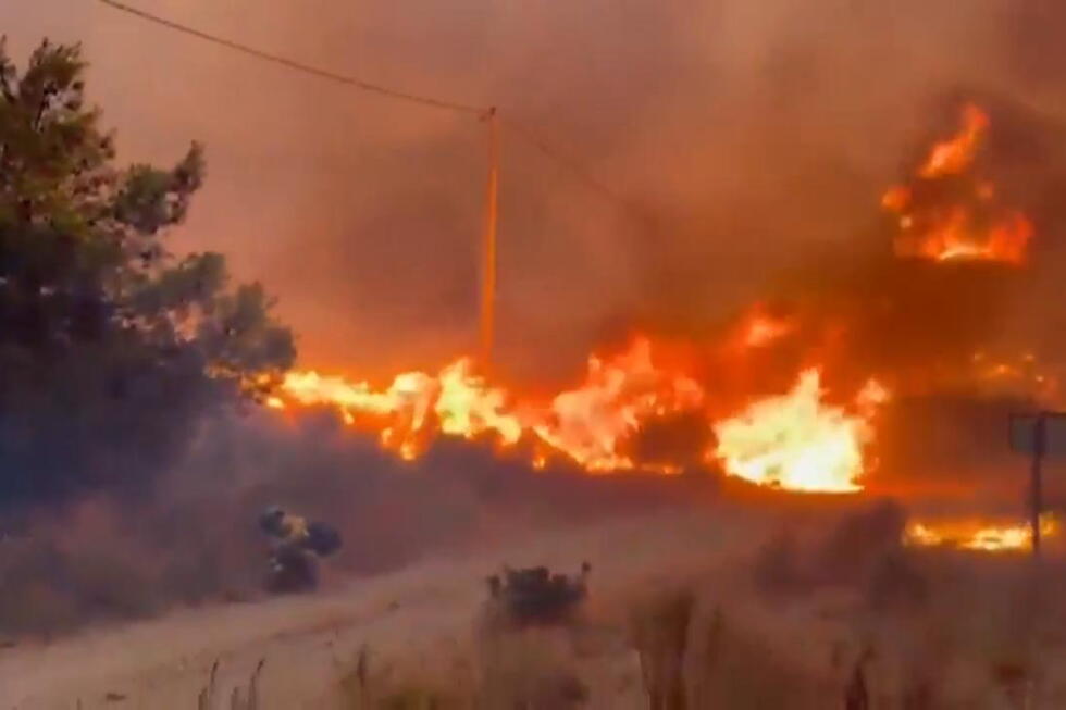 12 die in wildfire in Spain amid soaring temperatures