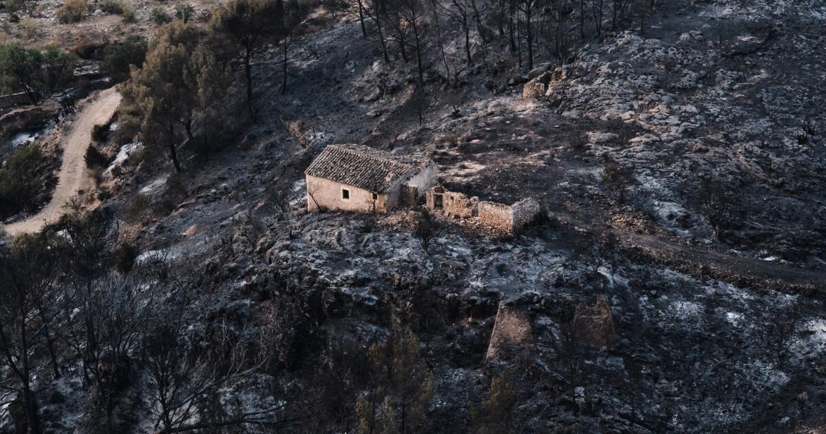 Hundreds of firefighters battle wildfire in southern Spain that killed at least 12