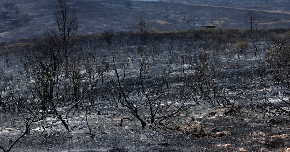 Spain and France continue to battle wildfires as intense heat grips southern Europe – The Irish Times