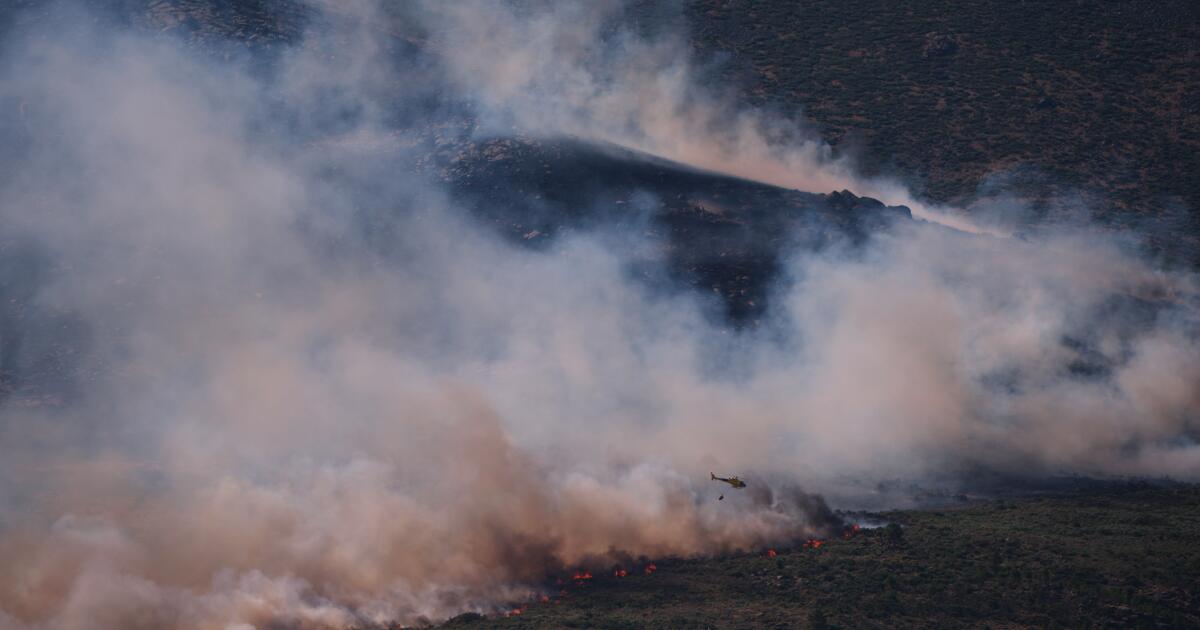 Tens of thousands flee wildfires in France and Spain