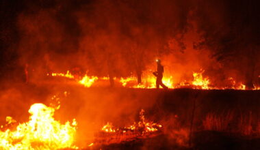 Record blaze near Madrid: Spanish firefighter faces unprecedented challenge