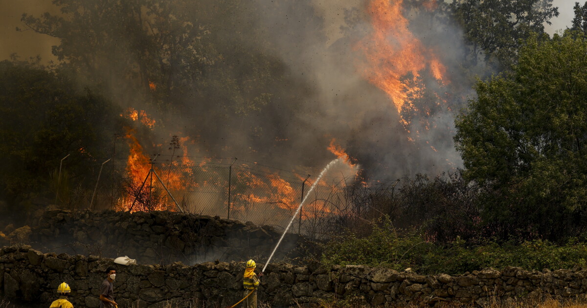 Fires in France and Spain, AI in Hollywood, learning to swim, how cannabis affects sleep and more