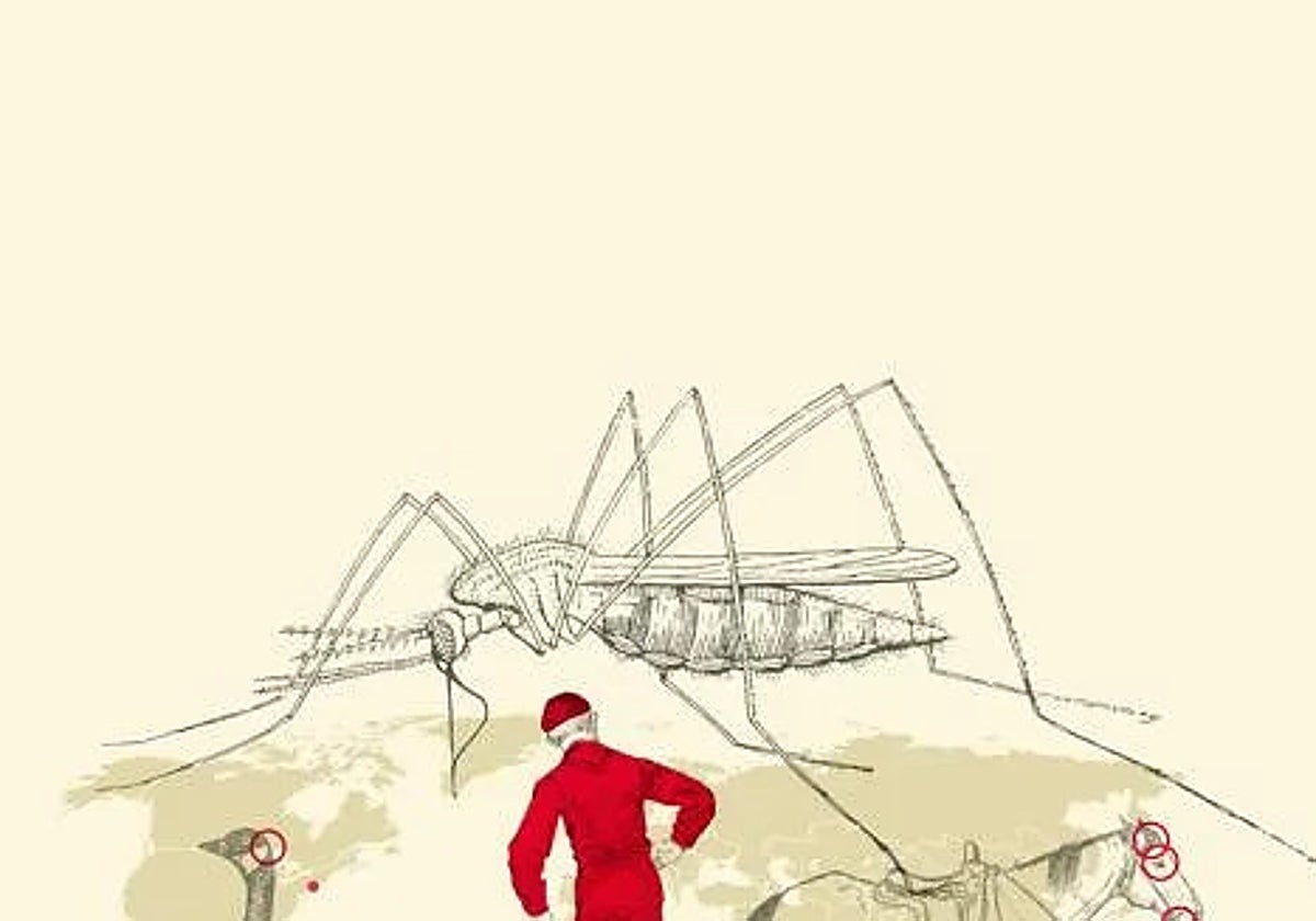 West Nile virus in Andalucía: Symptoms, transmission and high-risk areas explained